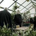 Fin de partie : Photo Aliza Rosen, Ilan Dar, Levana Finkelstein, Raffi Tavor