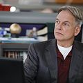 Photo Mark Harmon