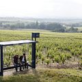 Saint Amour : Photo Benoît Poelvoorde, Vincent Lacoste