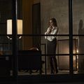 Nocturnal Animals : Photo Amy Adams