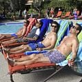 Photo Christopher Nicholas Smith, Jerry O'Connell, Kal Penn, Tony Shalhoub