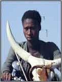 Touki-bouki