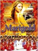 Marigold