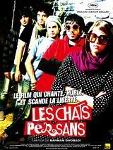 Les Chats persans