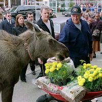 Bienvenue à Mooseport : photo Donald Petrie, Gene Hackman, Marcia Gay Harden