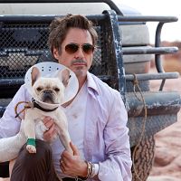 Date limite : Photo Robert Downey Jr.
