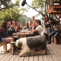 Salaud, on t'aime : Photo Eddy Mitchell, Johnny Hallyday, Rufus, Sandrine Bonnaire, Victor Meutelet