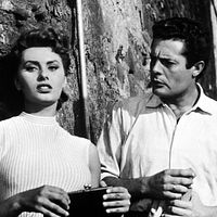Dommage que tu sois une canaille : Photo Marcello Mastroianni, Sophia Loren