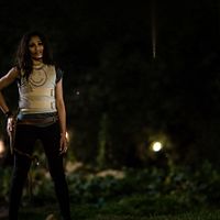Blunt Force Trauma : Photo Freida Pinto