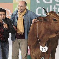 La Vache : Photo Fatsah Bouyahmed, Jamel Debbouze