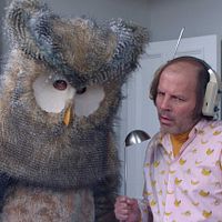 Hibou : Photo Philippe Katerine