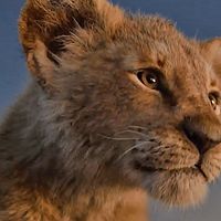Lion Bande-annonce
