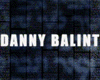 <strong>Danny Balint</strong> Bande-annonce VO