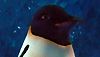 <strong>Happy Feet</strong> Bande-annonce (5) VO