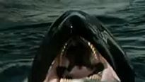 <strong>Orca</strong> Bande-annonce VO