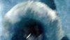 <strong>Whiteout</strong> Extrait vidéo (7) VO