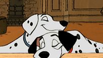 <strong>Les 101 Dalmatiens</strong> Extrait vidéo VF