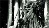 <strong>Max Payne</strong> Extrait vidéo VF