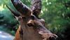 <strong>The Descent : Part 2</strong> Extrait vidéo VF