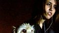 <strong>Les Chats persans</strong> Bande-annonce VO