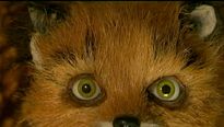 <strong>Fantastic Mr. Fox</strong> Bande-annonce VF