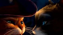 <strong>Le Chat Potté</strong> Extrait vidéo VO