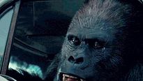 <strong>Zookeeper</strong> Extrait vidéo (2) VF