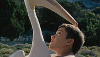 <strong>Nicostratos le pélican</strong> Bande-annonce VF