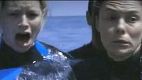 <strong>The Reef</strong> Teaser VF