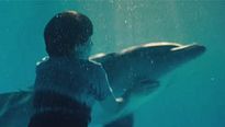 <strong>L'Incroyable histoire de Winter le dauphin</strong> Bande-annonce (2) VF