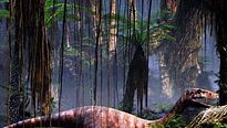 <strong>Ptérodactyles 3D : Dans le ciel des dinosaures</strong> Bande-annonce VF