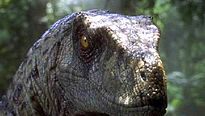 <strong>Fanzone</strong> N°19 - "Jurassic Park 4", "Sin City 2", les Oscars...