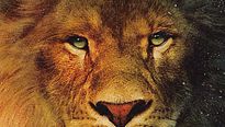 <strong>Top 5</strong> N°161 - Les lions