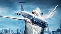<strong>Top 5</strong> N°305 - Les nanars à requins