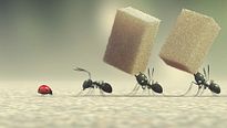 Minuscule - EXTRAIT "Convois exeptionnel"