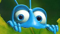 <strong>Top 5</strong> N°322 - Les fourmis