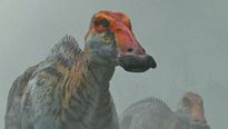 Sur la terre des dinosaures - MAKING OF VOST "Des dinosaures ultra réaliste"