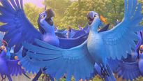 Rio 2 - EXTRAIT VF "Belles Creatures"