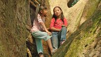 <strong>Le Promeneur d'oiseau</strong> Bande-annonce VF