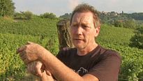 Natural Resistance - EXTRAIT VOST "La terre"