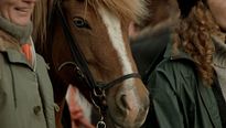 <strong>Des chevaux et des hommes</strong> Bande-annonce VO