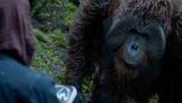 La Planète des singes : l'affrontement - EXTRAIT VOST "Le livre"
