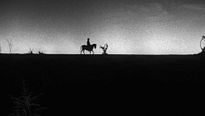 <strong>Top 5</strong> N°493 - Les films de 1956 selon les spectateurs