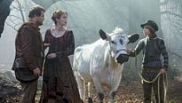 <strong>Top 5</strong> N°538 - Les vaches