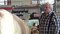 Saint Amour : dans les coulisses du tournage avec Gérard Depardieu et Benoit Poelvoorde