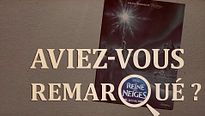 Aviez-vous remarqué ? La Reine des Neiges