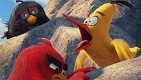 Angry Birds - Le Film - EXTRAIT VF "Aigle Vaillant"