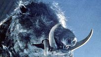 <strong>Top 5</strong> N°273 - Les méchants cochons