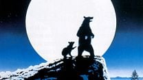 regarder vf la chasse à l ours complet film streaming vf hd l ours film 1988 allocin 233 regarder vf la chasse à l ours complet film streaming vf hd l ours film 1988 allocin 233