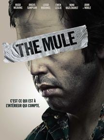 The Mule streaming